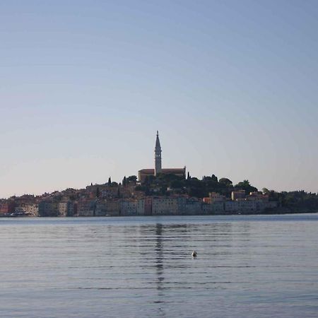 Apartment In Rovinj/Istrien 11533 Esterno foto